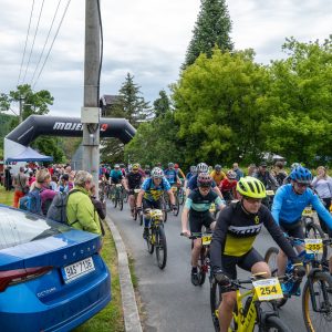 galery-2025-bm-00041